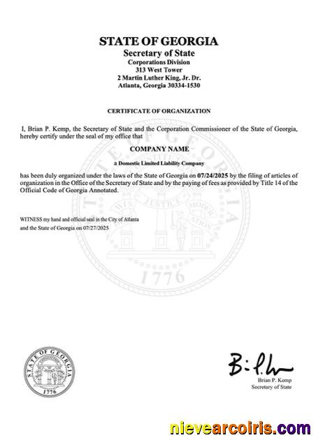 USA Georgia certificate of organization